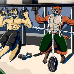 Gym Dogs