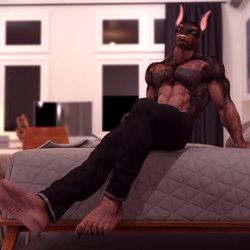 DontheDoberman06.jpg