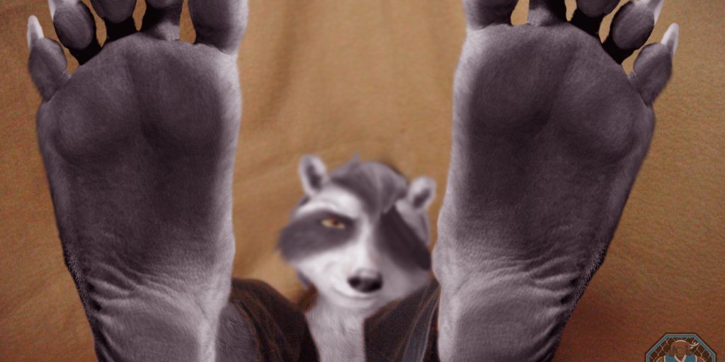 RaccoonManipVIII